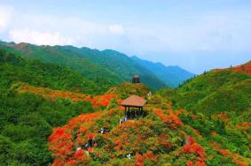 2023大围山国家森林公园门票多少钱