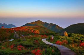 2024长沙大围山国家森林公园最新开放时间
