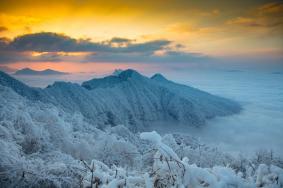 2022-2023巴中至光雾山旅游直通车什么时候开通？附时间、优惠价格