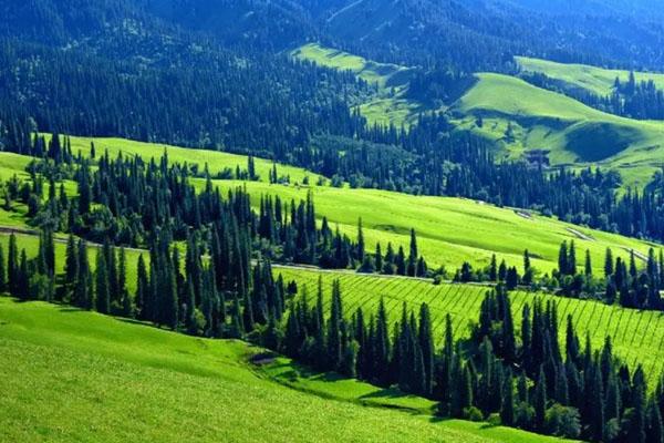 新疆最值得去的十大景区 新疆十大必去景点