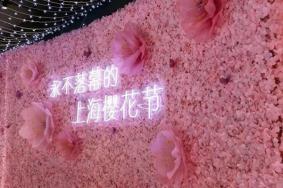 2023年冬季顾村公园应该怎么玩？这2条经典游玩路线值得打卡