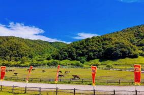 宝鸡大水川风景区门票价格2023