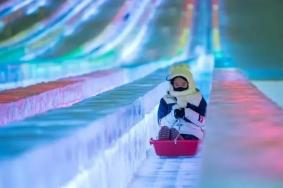 2023哈尔滨冰雪大世界大滑梯多少钱
