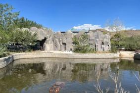 烏魯木齊天山野生動物園游玩攻略