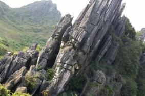 春湾石林风景区门票价格2023