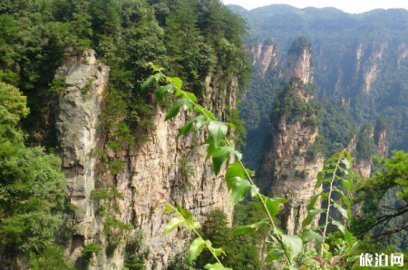 2023湖北吴家山国家森林公园游玩攻略 - 简介 - 开放时间 - 门票价格 - 地址 - 交通