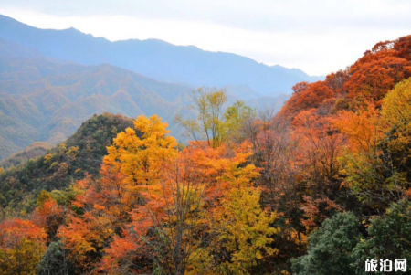 2023神农架红坪画廊景区游玩攻略 - 景点介绍 - 门票价格 - 开饭时间 - 地址 - 交通
