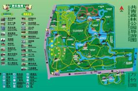2023上海共青森林公园游玩攻略 - 门票价格 - 开放时间 - 游乐项目 - 停车收费 - 地址 - 交通 - 天气