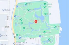 上海共青森林公园地址+交通路线