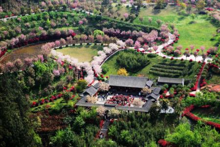 2025成都新津花舞人间门票多少钱