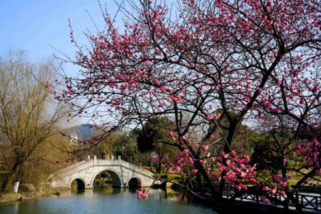 常州红梅公园游览线路 附游玩攻略