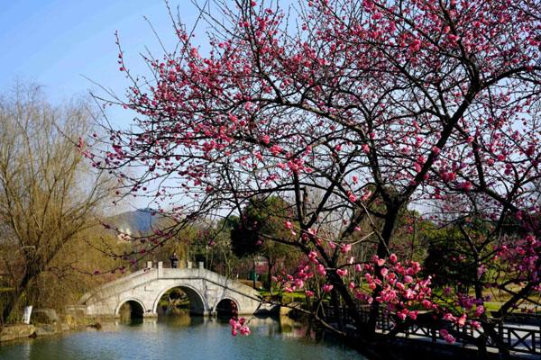 常州紅梅公園游覽線路 附游玩攻略