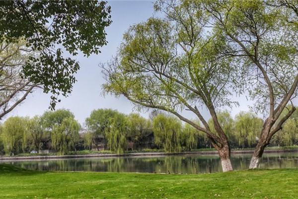 2023上海西郊淀山湖湿地游玩攻略 - 景点介绍 - 门票价格 - 开放时间 - 地址 - 交通