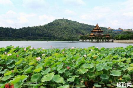 2023顺峰山公园旅游攻略 - 门票价格 - 开放时间 - 优惠政策 - 游玩攻略 - 交通 - 地址 - 电话 - 天气