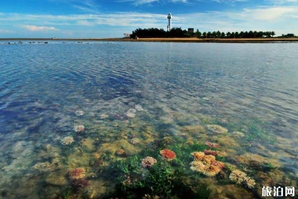 2023徐闻珊瑚礁自然保护区旅游攻略 - 门票价格 - 开放时间 - 优惠政策 - 游玩攻略 - 交通 - 地址 - 电话 - 天气