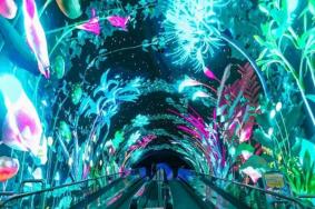 正佳极地海洋世界一日游攻略2023