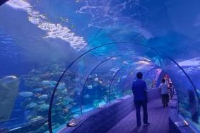 北海海底世界一日游玩攻略
