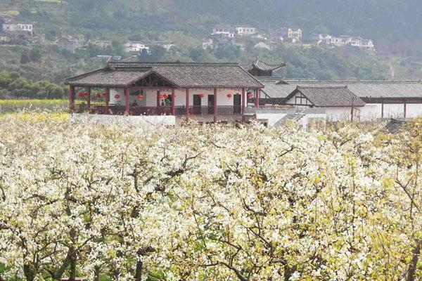 成都春季游玩好去處 成都春天一日游最佳去處