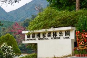 南岭国家森林公园为什么暂停开放了