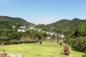 常山梅树底景区门票价格2024