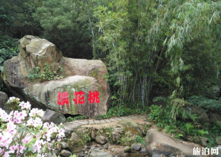 2023珠海竹仙公园游玩攻略 - 开放时间 - 门票价格 - 地址 - 交通
