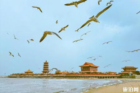 2023威海烟墩角村旅游攻略 - 门票 - 交通 - 景点介绍 - 天气 - 地址 - 开放时间