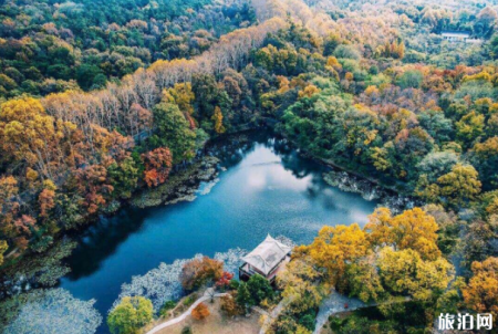 2023南京钟山风景区旅游攻略 - 门票价格 - 开放时间 - 景点介绍 - 简介 - 交通 - 地址 - 电话 - 天气