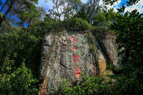 2023年清源山景区年卡多少钱？附办理流程