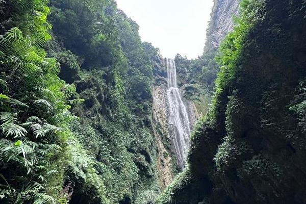 2024通灵大峡谷风景区门票