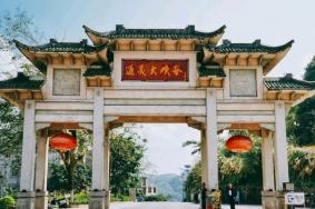 通灵大峡谷在哪儿 具体位置