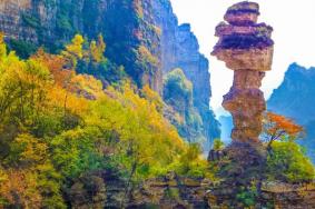 白石山风景区门票免费政策2024