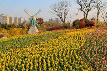 2023日照植物园旅游攻略 - 门票 - 地址 - 景点介绍 - 开放时间 - 交通 - 天气 - 电话