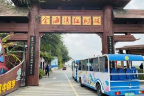 金海湾红树林在哪里啊 具体位置