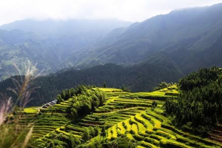 桃源梯田景区旅游攻略-门票价格-景点信息