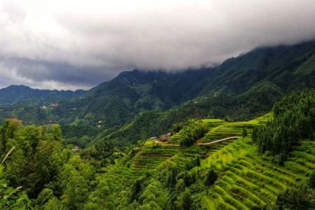 桃源梯田景区旅游攻略-门票价格-景点信息