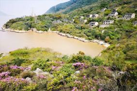 舟山桃花岛几月份有桃花