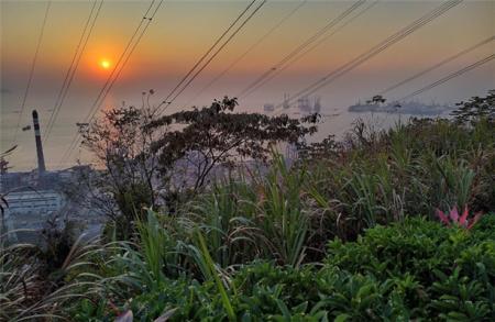 2023深圳小南山公园游玩攻略 - 门票价格 - 开放时间 - 地址 - 交通 - 电话
