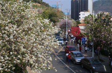 2023深圳小南山公园游玩攻略 - 门票价格 - 开放时间 - 地址 - 交通 - 电话