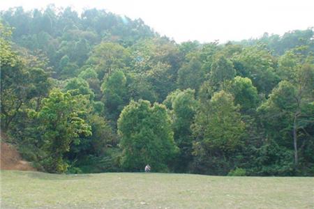 2023深圳石芽岭公园游玩攻略 - 门票价格 - 开放时间 - 地址 - 交通 - 电话