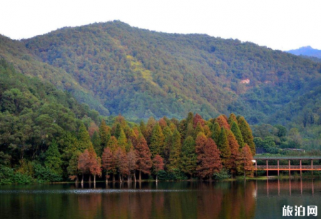 2023泮坑旅游风景区游玩攻略 - 门票价格 - 开放时间 - 地址 - 交通 - 电话