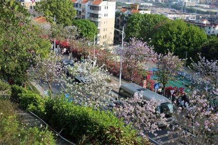 2023深圳小南山公园游玩攻略 - 门票价格 - 开放时间 - 地址 - 交通 - 电话