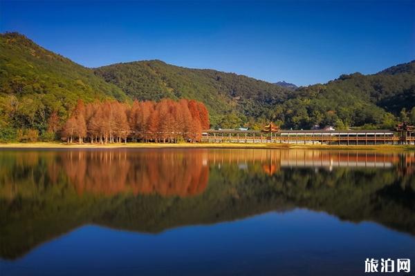 2023泮坑旅游风景区游玩攻略 - 门票价格 - 开放时间 - 地址 - 交通 - 电话