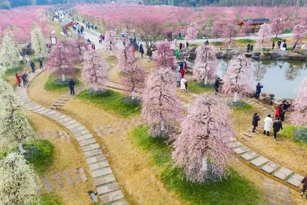 问花村门票价格2024年