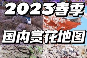 2023春季赏花攻略 这13个地方一定要去