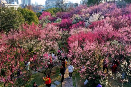 2023古林公园游玩攻略 - 门票价格 - 开放时间 - 赏梅攻略 - 景点介绍 - 简介 - 交通 - 地址 - 电话 - 天气