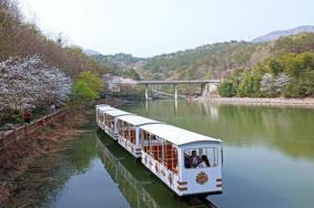 黄陂锦里沟樱花开了吗2023