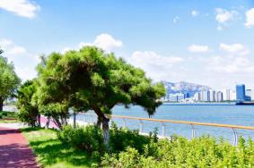 2023青岛春季旅游最佳去处