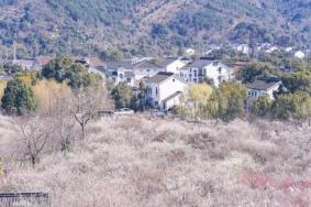 苏州光福景区有哪些景点