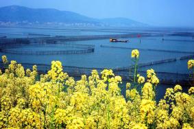 2024苏州光福景区最新开放时间