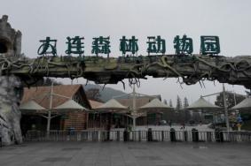 大连森林动物园冬天去有意思么